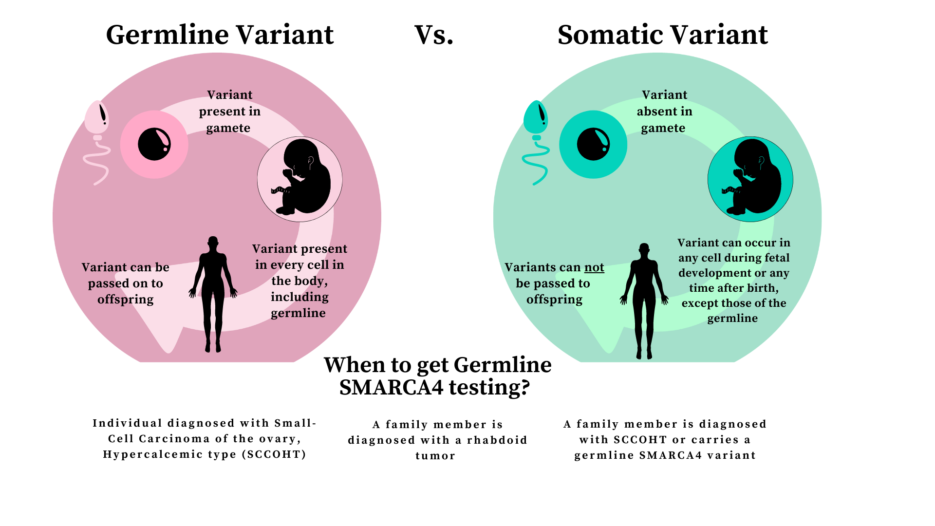 SMARCA4 Graphic